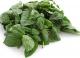 How To Store Fresh Basil